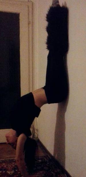 Emmalee, 29, High Ridge, MO local dating profile photo